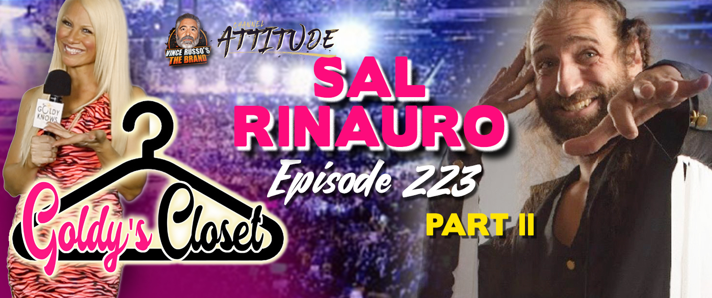 Goldy's Closet Brand Website Banner Sal Rinauro Part II